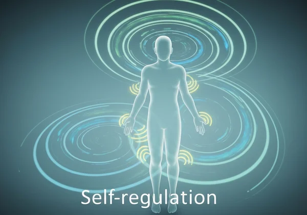 An abstract representation of stimming as a self-regulation tool